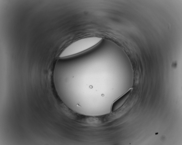 X0000103270279200808291114