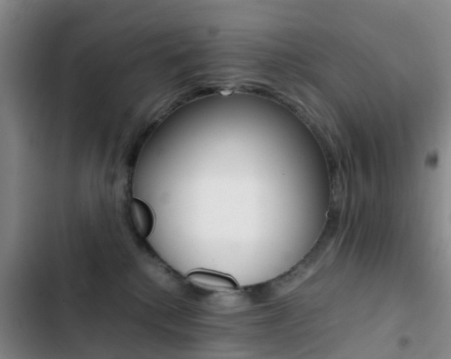 X0000103270280200808291114