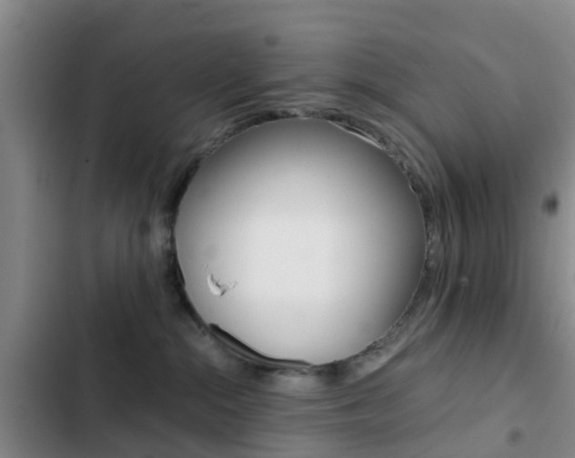 X0000103270284200808291114