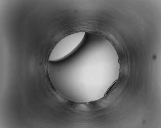 X0000103270285200808291114