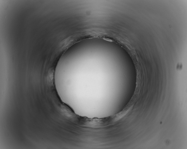X0000103270288200808291114