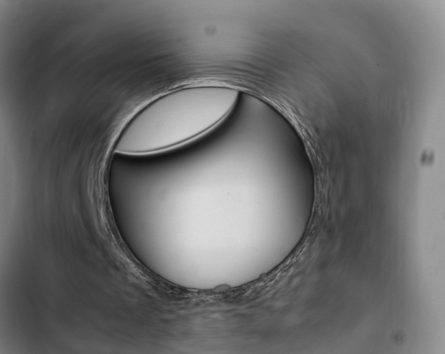 X0000103270289200808291113