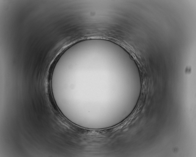 X0000103270290200808291113