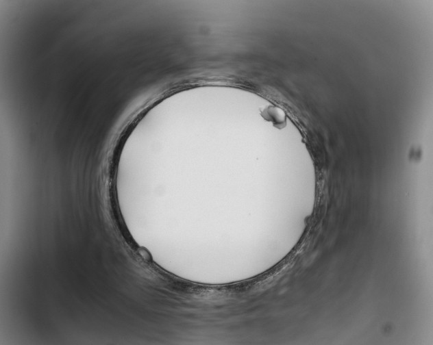 X0000103270293200808291113