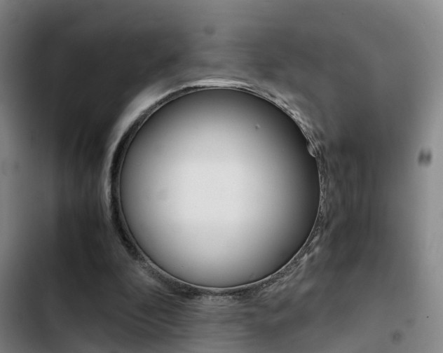 X0000103270296200808291113