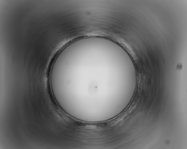 X0000103270298200808291113