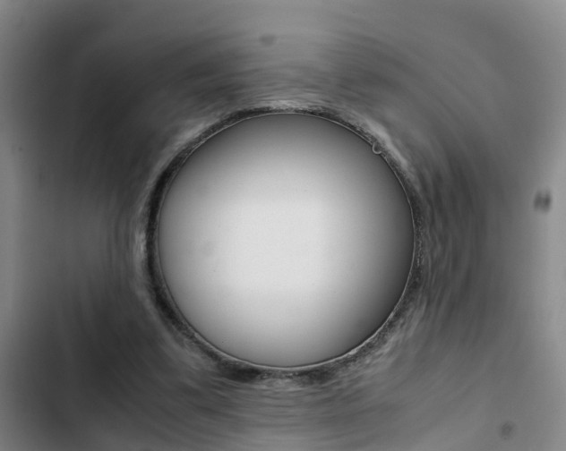 X0000103270299200808291113