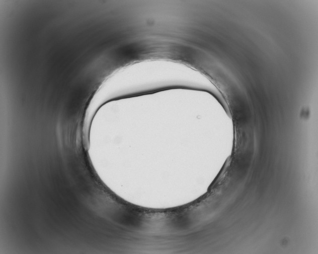 X0000103270301200808291113
