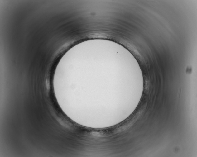 X0000103270302200808291113