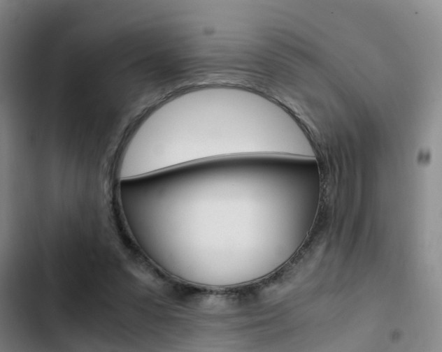 X0000103270303200808291113