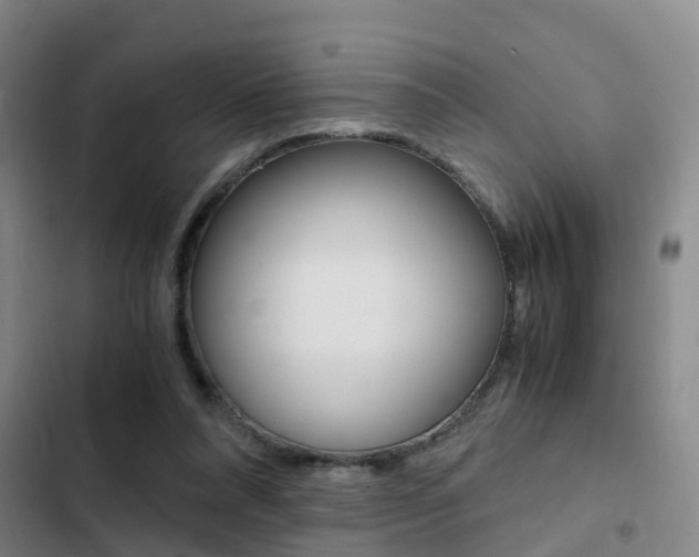 X0000103270304200808291113