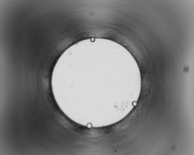 X0000103270305200808291113