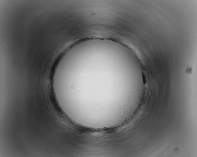 X0000103270306200808291113