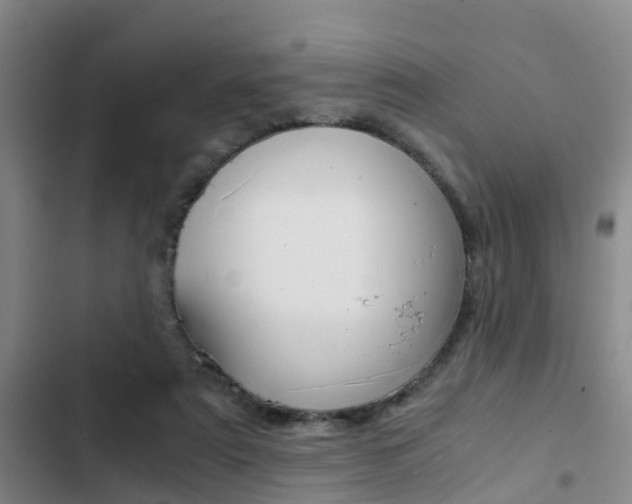 X0000103270307200808291113