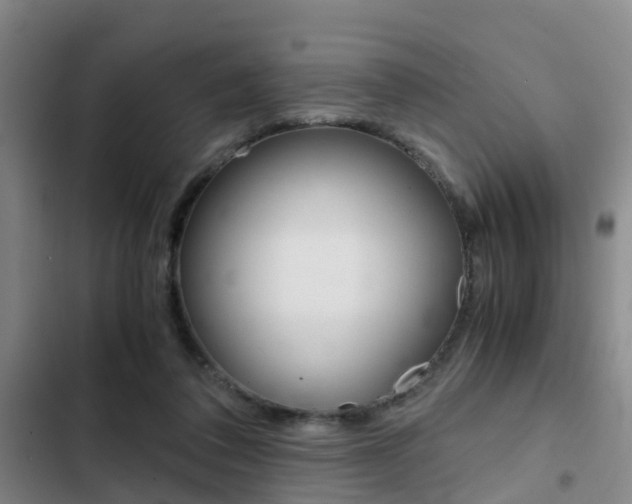 X0000103270308200808291113