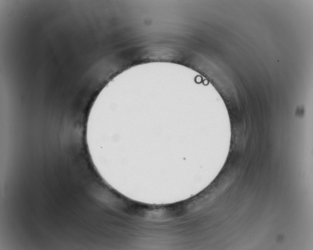 X0000103270309200808291113