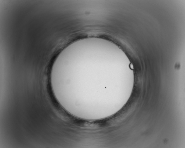 X0000103270311200808291113