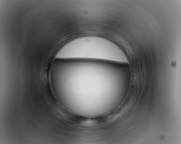X0000103270312200808291113