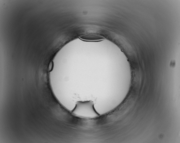 X0000103270313200808291113