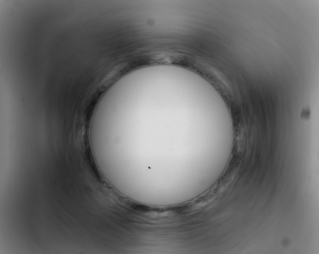 X0000103270314200808291113