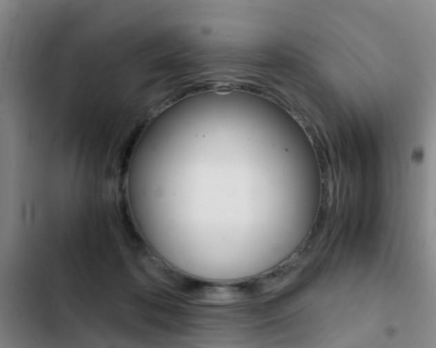 X0000103270316200808291113