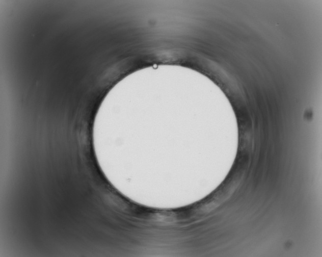X0000103270317200808291113