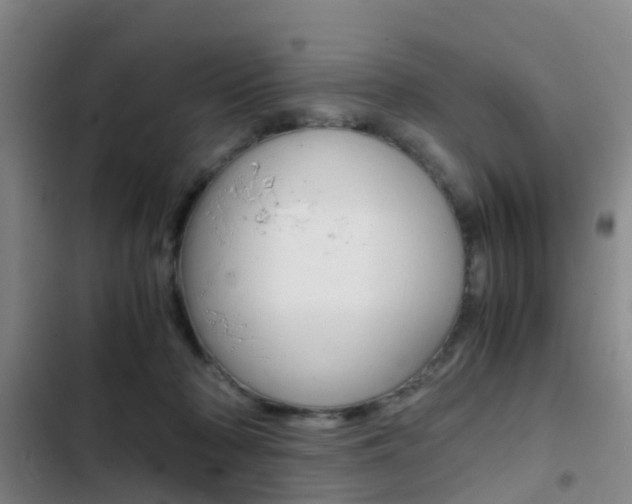 X0000103270318200808291113