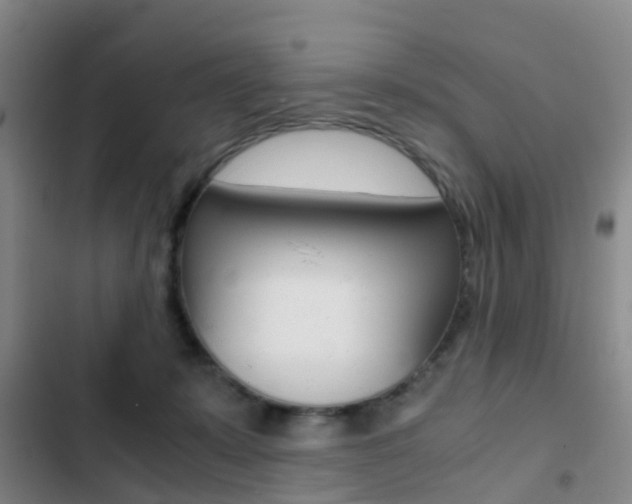 X0000103270319200808291113