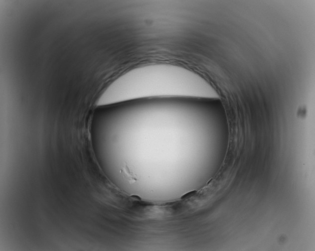 X0000103270320200808291113