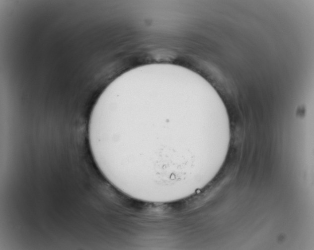 X0000103270321200808291113