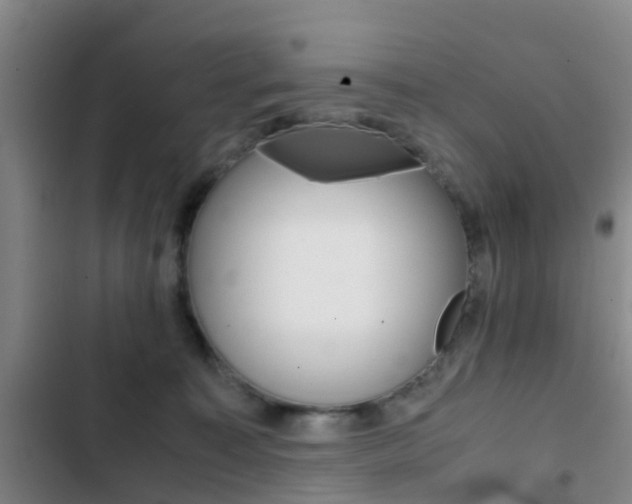 X0000103270323200808291113