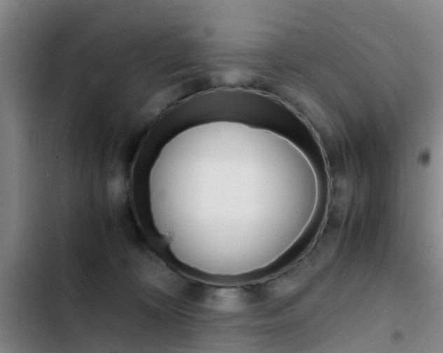 X0000103270324200808291113