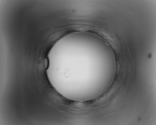 X0000103270325200808291113