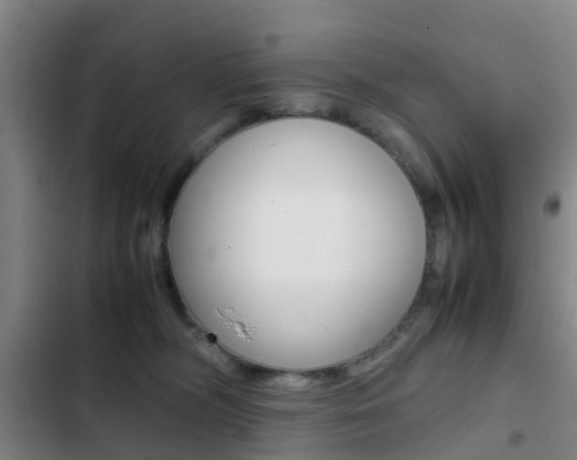 X0000103270326200808291113