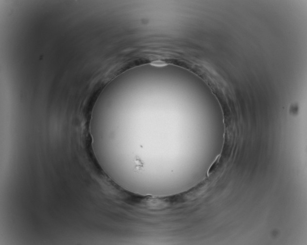 X0000103270327200808291113
