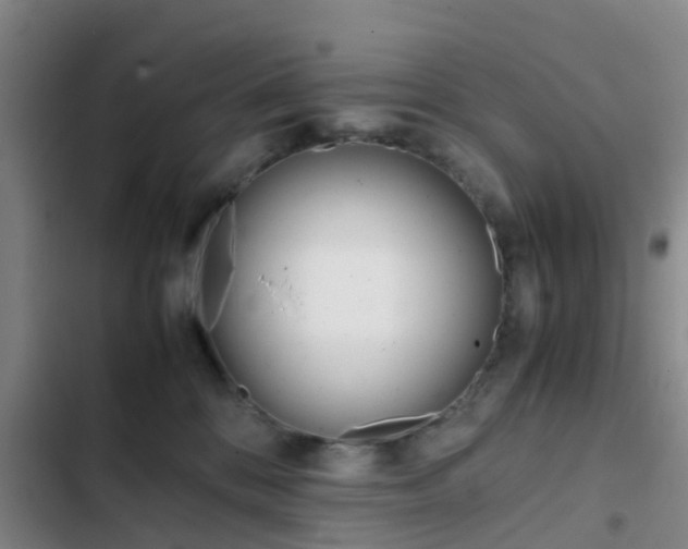 X0000103270328200808291113