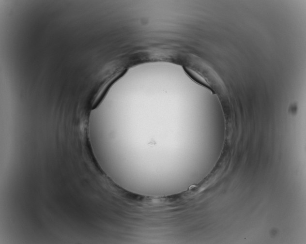 X0000103270329200808291113