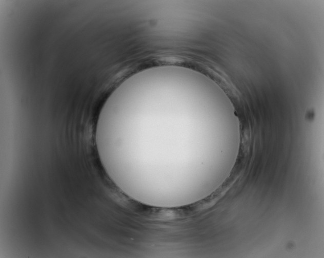 X0000103270330200808291113