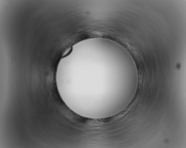 X0000103270331200808291113