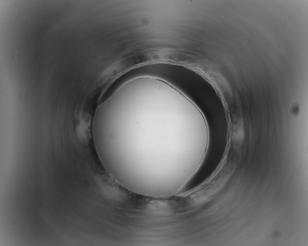 X0000103270332200808291113