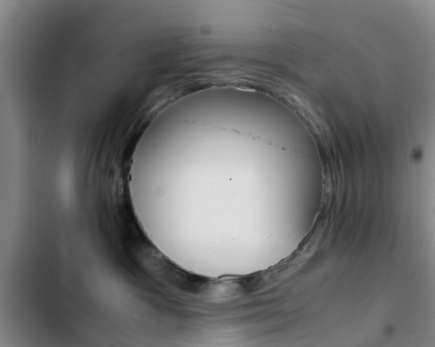 X0000103270333200808291113
