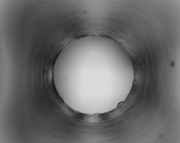 X0000103270334200808291113