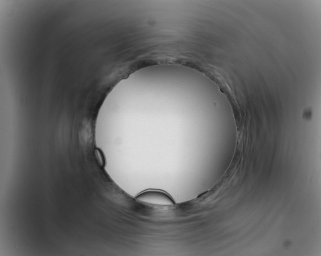 X0000103270335200808291113