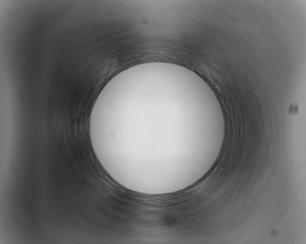 X0000103270336200808291113
