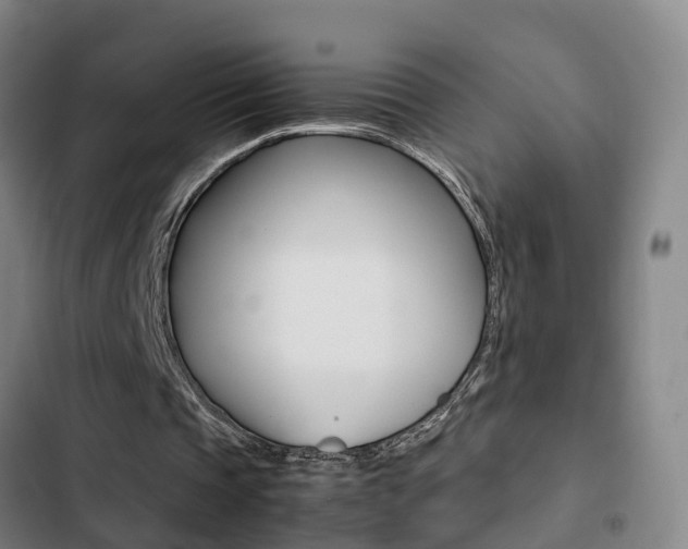 X0000103270337200808291112