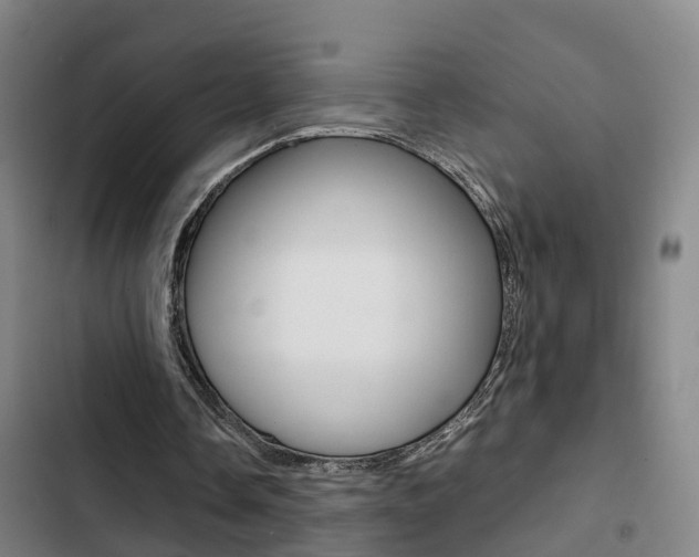 X0000103270338200808291112