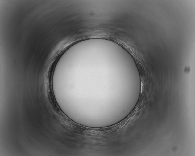 X0000103270339200808291112