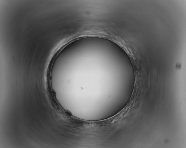 X0000103270340200808291112