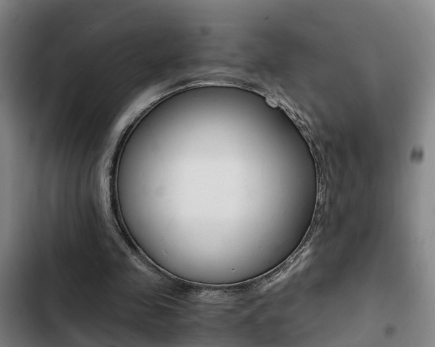 X0000103270341200808291112