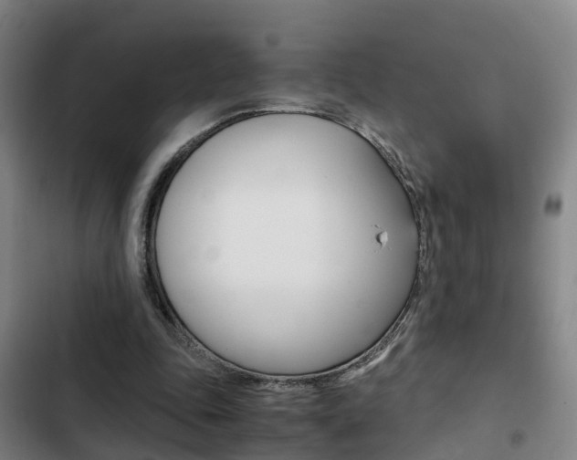X0000103270343200808291112
